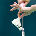 Vabljeni na Tečaj badmintona za odrasle - začetek, nedelja, 3. april