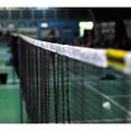 Uspešen novoletni turnir naše Badminton šole