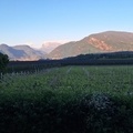 Mladi upi BKL obiskali Bolzano in se predstavili v zelo dobri luči